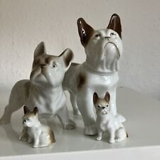 Group french bulldog for sale  BIRMINGHAM