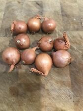 Red potato onions for sale  AYR