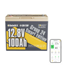 Power queen 12v100ah usato  Lonate Pozzolo