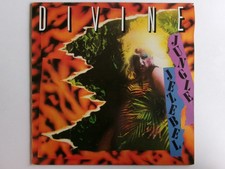 Divine jungle jezebel for sale  SUNBURY-ON-THAMES