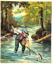 trout print for sale trout print for sale Alhambra