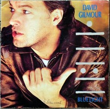 45t david gilmour d'occasion  Cassis