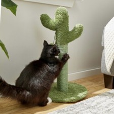 Cute cactus sisal for sale  Tampa