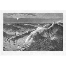 Hans dahl storm for sale  GLASGOW