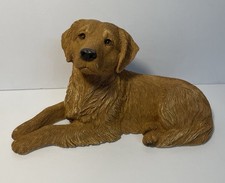 Sandra brue dog for sale  Sautee Nacoochee