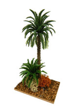 Palma doppia oasi usato Palma doppia oasi usato  Napoli