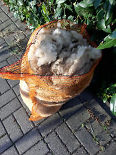 Schafwolle schurwolle rohwolle gebraucht kaufen  Brand-Erbisdorf, Großhartmannsdorf