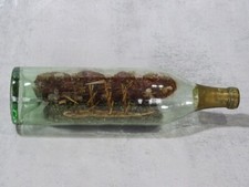 Buddelschiff schiff flasche gebraucht kaufen  Pasewalk