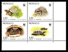 Monaco 1991 testudo usato  Spedire a Italy