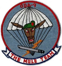 FORÇAS ESPECIAIS DO EXÉRCITO DOS EUA DESTACAMENTO OPERACIONAL ALFA ODA-9 O PATCH MILITAR MUL comprar usado  Enviando para Brazil