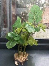Fake mini monstera for sale Fake mini monstera for sale  MANCHESTER