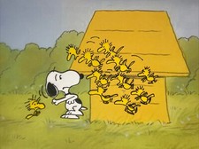 Peanuts animation cel for sale  Fort Lauderdale