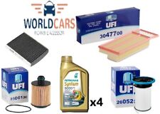 Kit tagliando fiat usato  Santa Maria la Carità