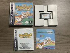 Hamtaro rainbow rescue usato  Fossano