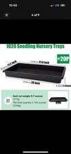 1020 trays seed for sale  Cocoa
