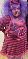 Cheshire cat costume for sale  SOUTHAMPTON