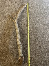 Cork bark branch for sale  STOKE-ON-TRENT