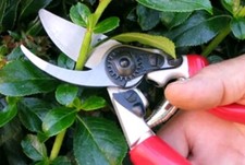 Darlac expert rotating for sale  GOOLE