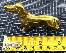 Sausage dog dachshund for sale  HAVERFORDWEST