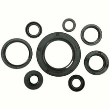 Vertex oil seal for sale  Payson