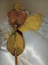 Real rose dipped for sale  Dover