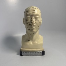 mannequin acupuncture d'occasion mannequin acupuncture d'occasion Expédié en Belgium