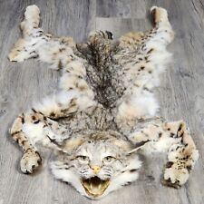 Bobcat pelt complete for sale  Mason City