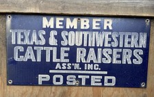 Texas southwestern cattle for sale  Drumright