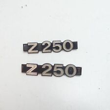 Riginal kawasaki 250 gebraucht kaufen  Kreuztal