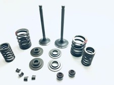 Engine valve spring for sale  Burlington