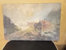 Antique highland cattle for sale  CARNFORTH