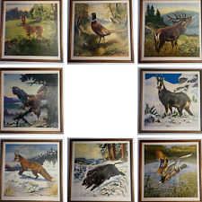 Lot illustrations animaux d'occasion  Ervy-le-Châtel