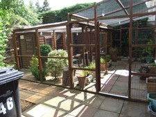 Animal cat dog for sale  MIDDLESBROUGH