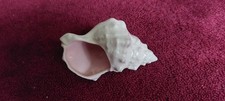 Branksome pottery vintage for sale Branksome pottery vintage for sale  CRAWLEY