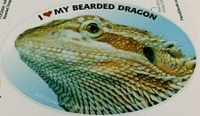 Bearded dragon reptile for sale  Asbury Park