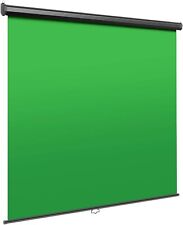 Neewer green screen usato  Bovolone