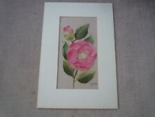 Camelia pretty floral for sale  LINCOLN