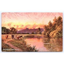 Postcard england surrey for sale  Kenosha