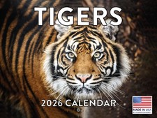 Tiger calendar 2026 for sale  Austin
