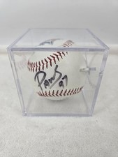 Detroit tigers opening for sale  Dewitt