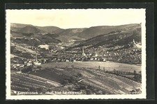 Kappelrodeck schwarzwald total gebraucht kaufen  Berlin
