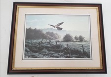 Alan hunt framed for sale  RUGBY