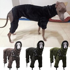 Hiver animal compagnie d'occasion  France