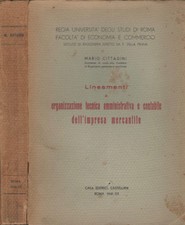 Lineamenti organizzazione tecn usato  Italia