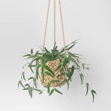 potted artificial plants for sale potted artificial plants for sale Camp Hill