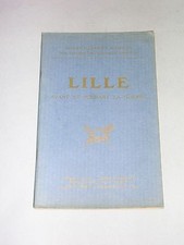 Michelin guide illustré d'occasion  Lyon V