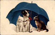 Katzen hund regenschirm gebraucht kaufen Katzen hund regenschirm gebraucht kaufen  Berlin