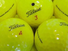 Gelbe titleist pro gebraucht kaufen  Eching
