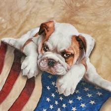 Bulldog puppy american for sale  Rossville