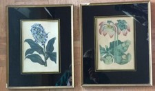 Antique fine pair for sale  Colfax
